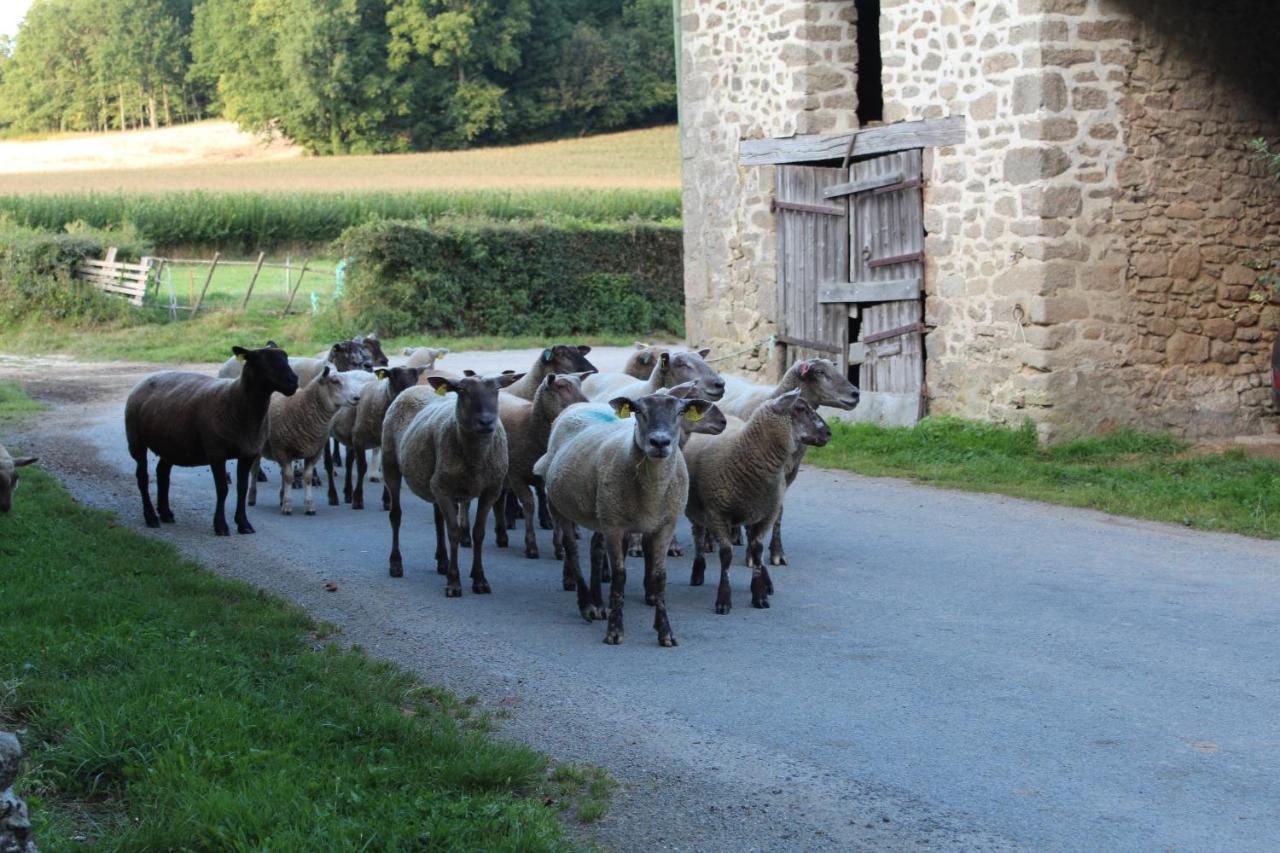 Bed and Breakfast Dans La Creuse Mourioux-Vieilleville Екстер'єр фото